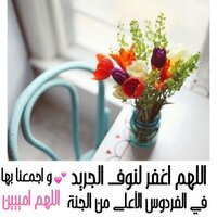 لـ نوف الجريد ❤️ (@noof_aljreayd) Twitter profile photo