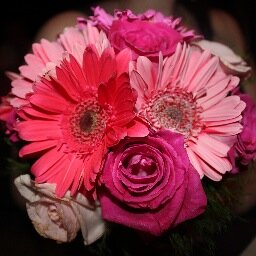 WPIC Certified Wedding Planner | Specializing in traditional Jewish & European Weddings | follow us on Instagram @brilliantwedmal