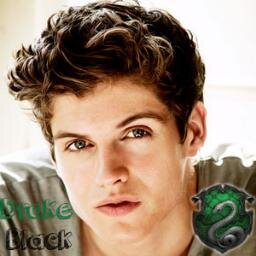 Diecisiete años. Slytherin. Borde, mojabragas profesional. Dudo muchísimo que te puedas resistir a mis encantos, ejem. Guardián. Egocéntrico.