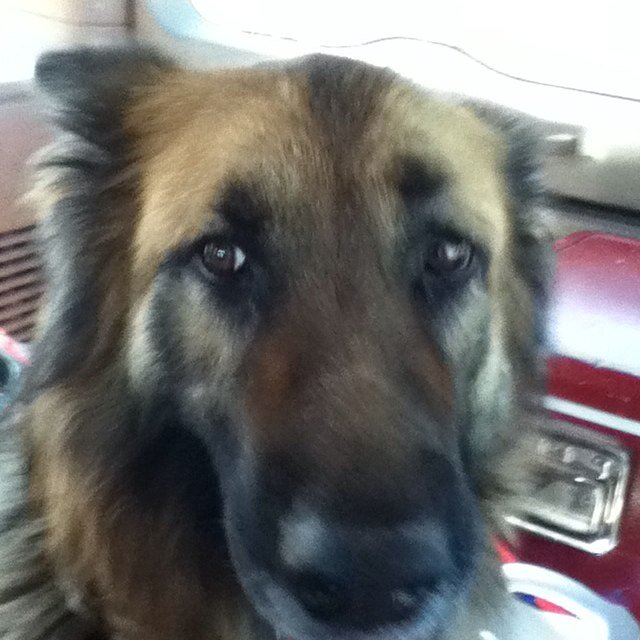 DelreaceR's profile picture. 