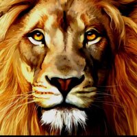 Lions Den (@ltspirit) 's Twitter Profile