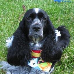 cokenuts's profile picture. 