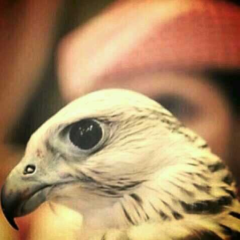 giliii9's profile picture. ‏للدنيآ قانون يسمى : آلدوران ! سيعود اليك سواء كان خيرًا ام شرًا فاحسن صُنع مآتود ان يعود اليك ..وتذكر أن الديان لايموت”❁ଫৣ