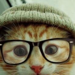 Foto Binatang Unyu di Timeline kamu? Follow & RT @TwitUwuwuw ~ Uwuwuw :3