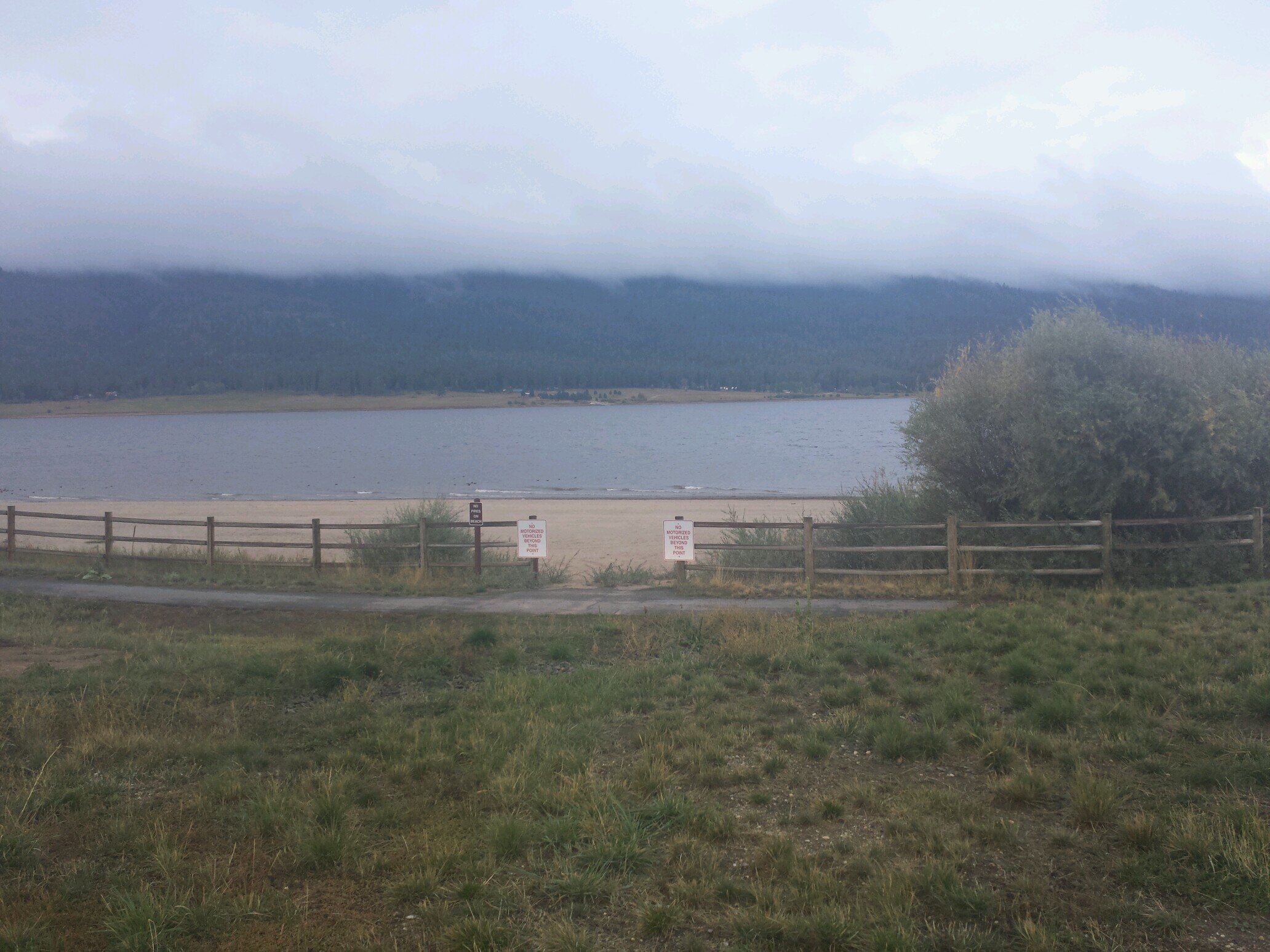 swnunes's profile picture. 