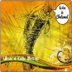 LaVozDeChetumal's profile picture. 