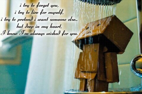 setiawan5cm's profile picture. 