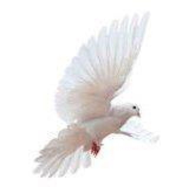 godamongus1's profile picture. 