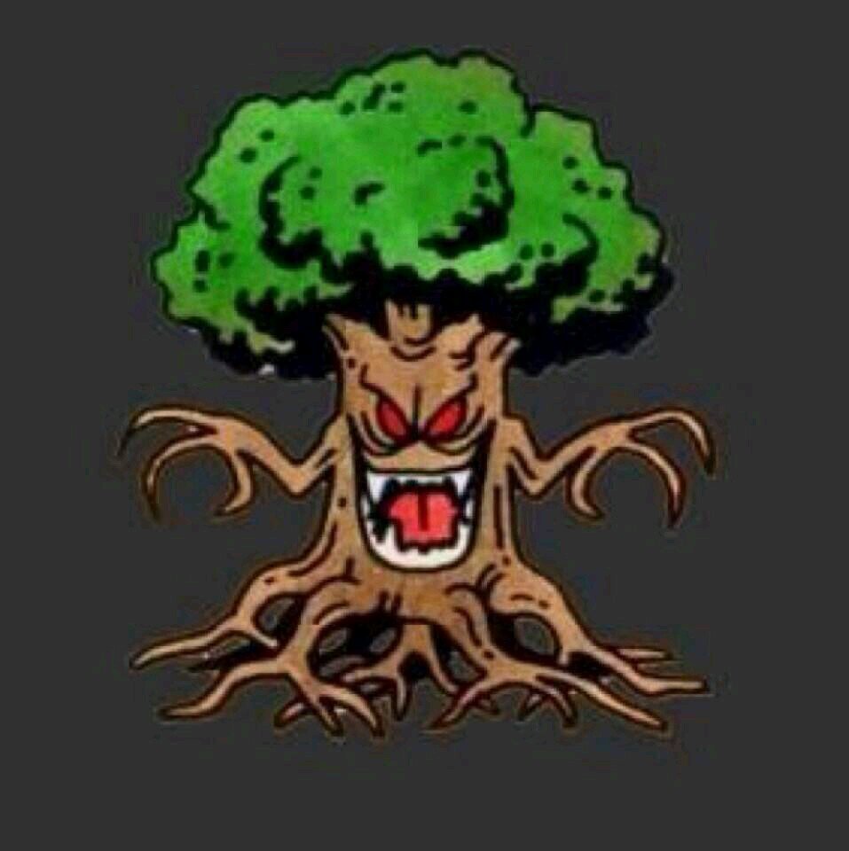 manager for twisted nature pro gaming sponsored by psnesports