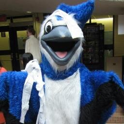 Much cooler than Flappy Bird #CoolestMascotEver