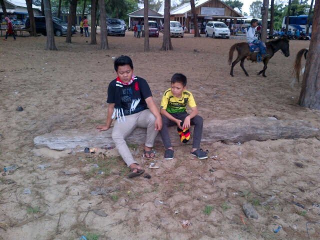 Lover persija from borneo island