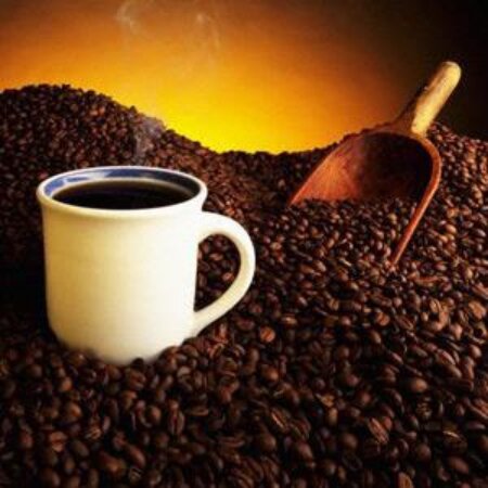 N I C A R A G U A
Cafe 
ludumarp@gmail.com 
+(505) 86516772