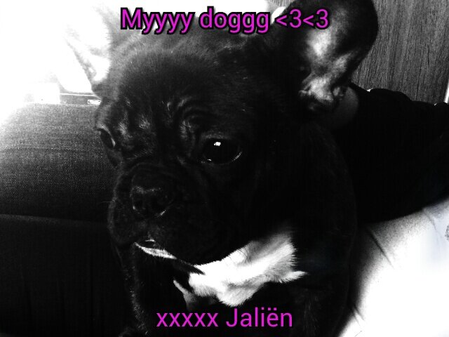 heeey I love everybody