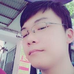 software developer