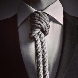 NellyKelmon's profile picture. Cat.