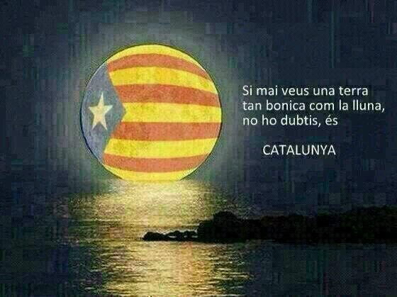 santiasoler's profile picture. 