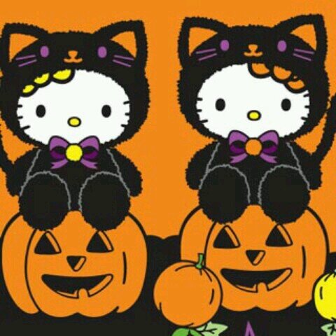 ♥Hello kityy|| 《official acout of Hello Kitty》 mention for follback