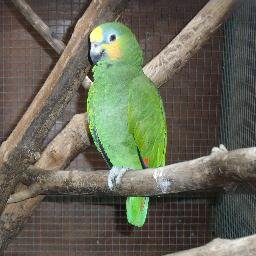 auchinlecktaxi's profile picture. 