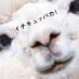 メグ (@meg333) Twitter profile photo メグ (@meg333) Twitter profile photo