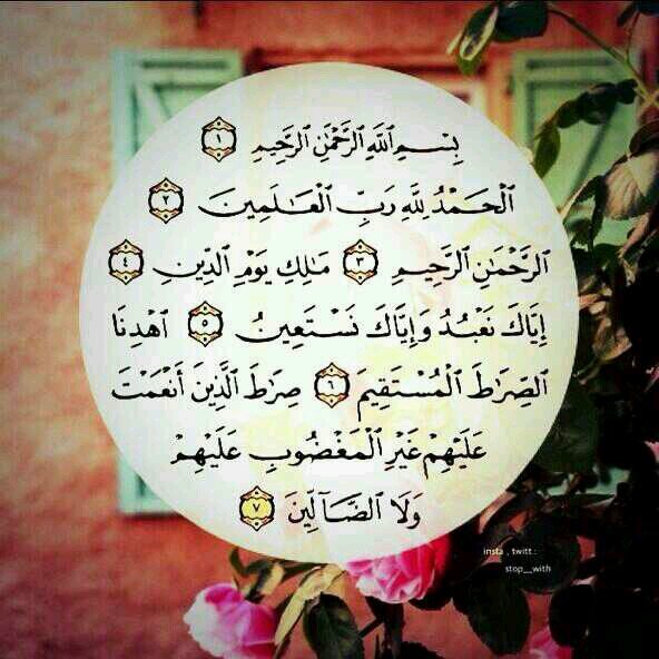 ‏‏‏ ‏‏‏أعيذُكم من كل دمعة تُدآعب رمشُ أعيُنكم ، و مِن كل حزن يؤلم قلوبكم~
أنشأت هذا الحسآب لنا لعلّه يكون شفيعاً لنا يوم القيامه ~