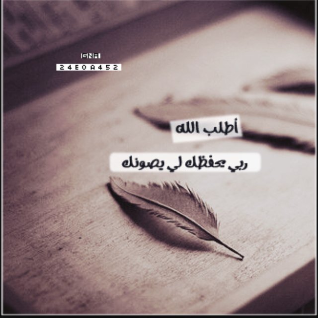 ولى قلب يشبه رقة هذه الورود ....فامنحني يالله رفقاء كذالك لتتسامي نواينا كعبقها ونعطر من حولنا بصدق الإخاء