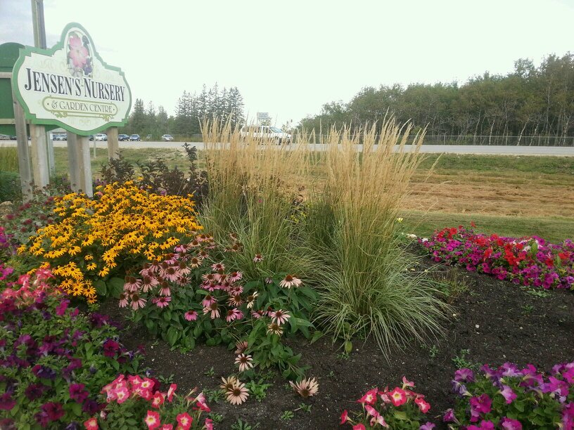 Owner of Jensen Nursery and Garden Centre