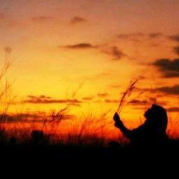 qaireenafeefa's profile picture. 