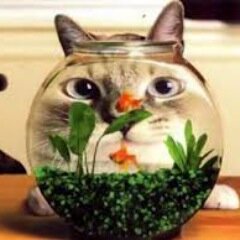 面白いツイートのコピペをこぼして行きます。
たまに有名人格言、たまに感動、たまに納得、つい笑ってしまったりもし共感出来たら、RTしてやってください(*´∀｀*)
