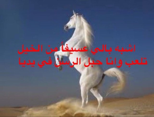 سبحان الله وبحمده ، سبحان الله العظيم