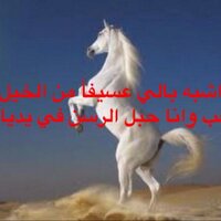 الصابري (@salllllllm) 's Twitter Profile
