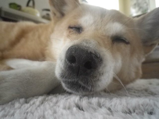 まいにち笑って過ごせたらそれでいい。