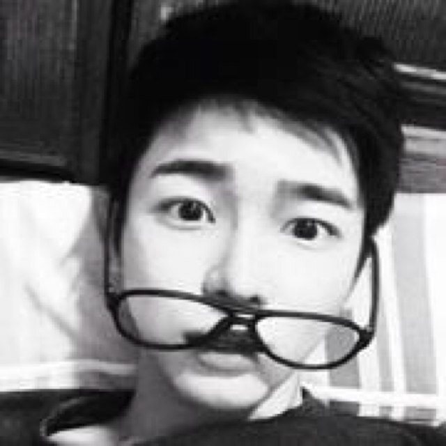 แมวเป็นสัตว์ที่น่ารำคาญ บอกไม่ถูกครับ ของแบบนี้ต้องลอง