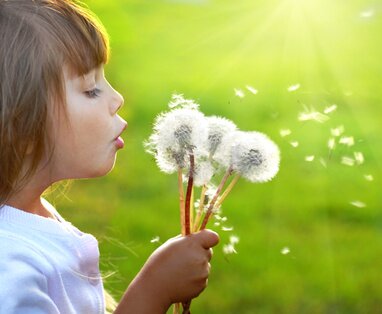 Accompagner les parents et les pros de l'enfance désireux d'améliorer leur relation avec les enfants. Programme de soutien à la parentalité en entreprise