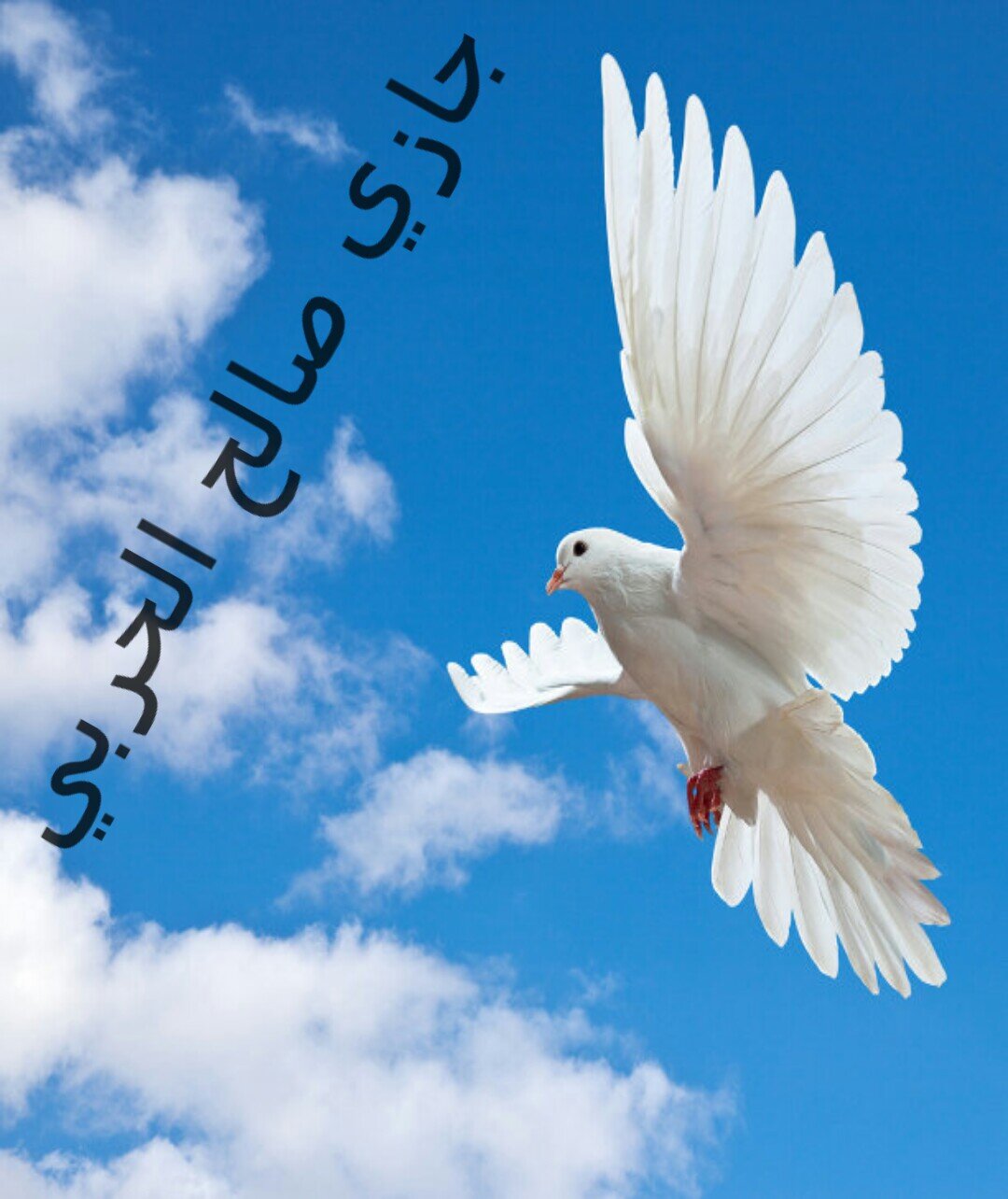 ابوسلطان الحربي
