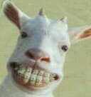 reintjedevos43's profile picture. 