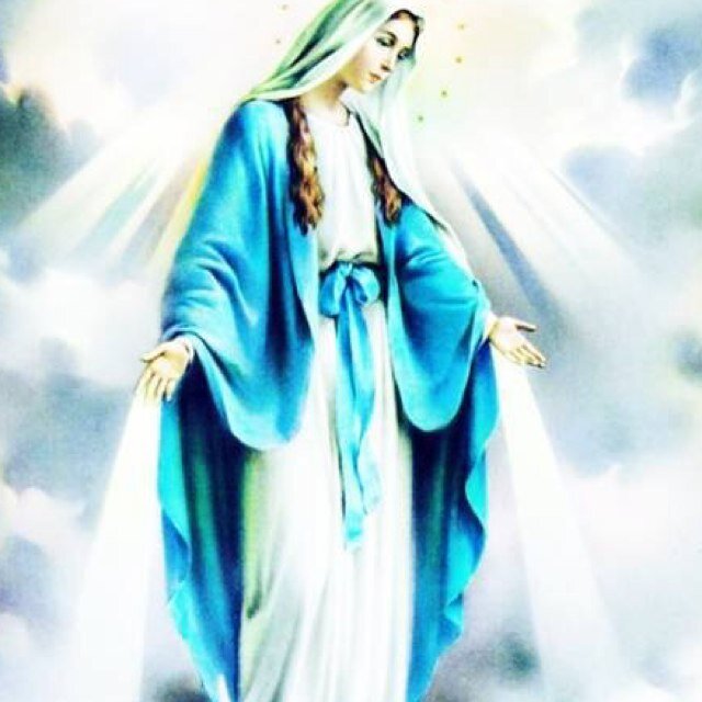 xngonini's profile picture. 