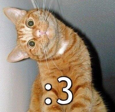 NICE :D xD