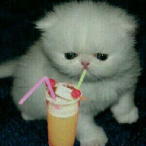 hajar571's profile picture. 