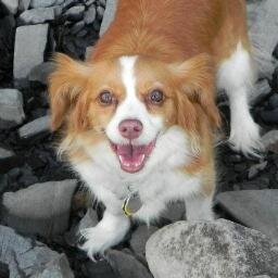 LoriMelcher's profile picture. 