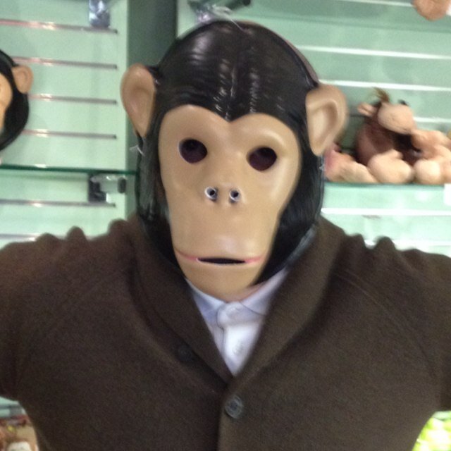 monkeyH78 Profile Picture