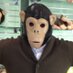 Monkey 🌍🏐 111 pts (c) (@monkeyh78) Twitter profile photo Monkey 🌍🏐 111 pts (c) (@monkeyh78) Twitter profile photo