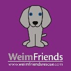 We are a 501c3 non-profit organization. We rescue, rehabilitate and rehome abandoned Weimaraners in the Greater Cincinnati, Ohio area.