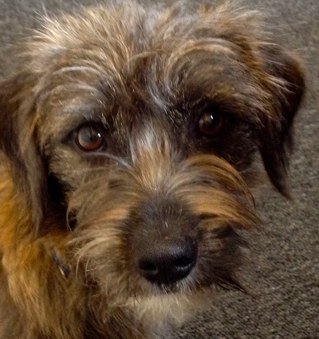 peacefulineh's profile picture. Chilling at an old fashioned movie with Greta❣️❣️