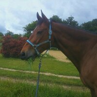 nathalie fontrel (@nathaliefontrel) 's Twitter Profile