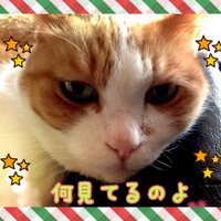 こてちゃん@セロー225WE(5MP) (@kote_kote_chan) Twitter profile photo