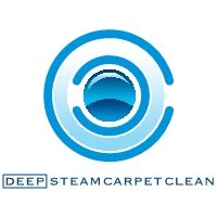 Profesional Carpet Cleaners with over 15 years of experience