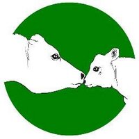 Fundación Santuario Gaia (@fsantuariogaia) 's Twitter Profile Photo