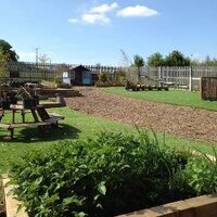Buttercup Barn (@buttercupbarn1) 's Twitter Profile