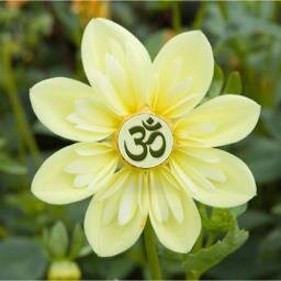 un insegnante yoga amante dell'armonia e benessere