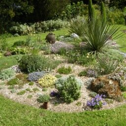 Large garden packed with treasures. Propagating alpines, woodland  and dry loving perennials for our little nursery.
